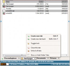 disk voyager file explorer